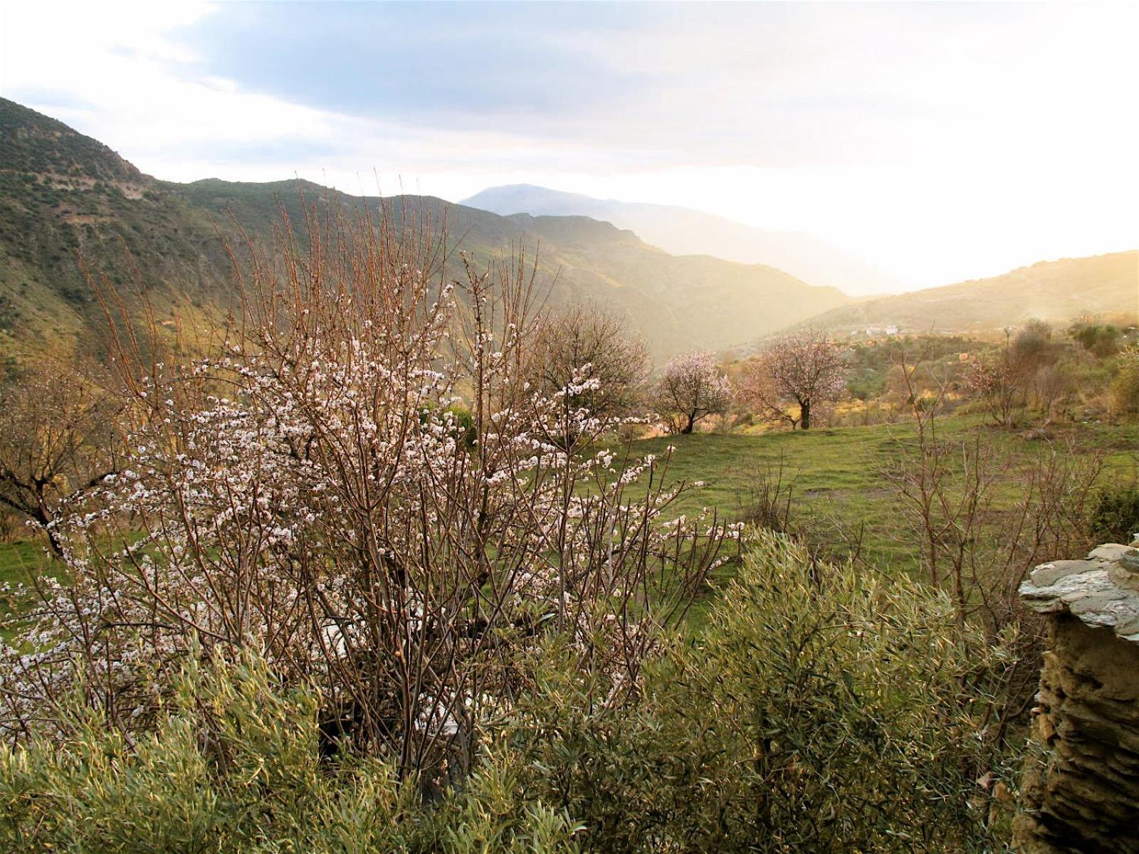 Rural House, Heated Pool & Steam Room, Casa Aloe. Atalbeitar Kültér fotó