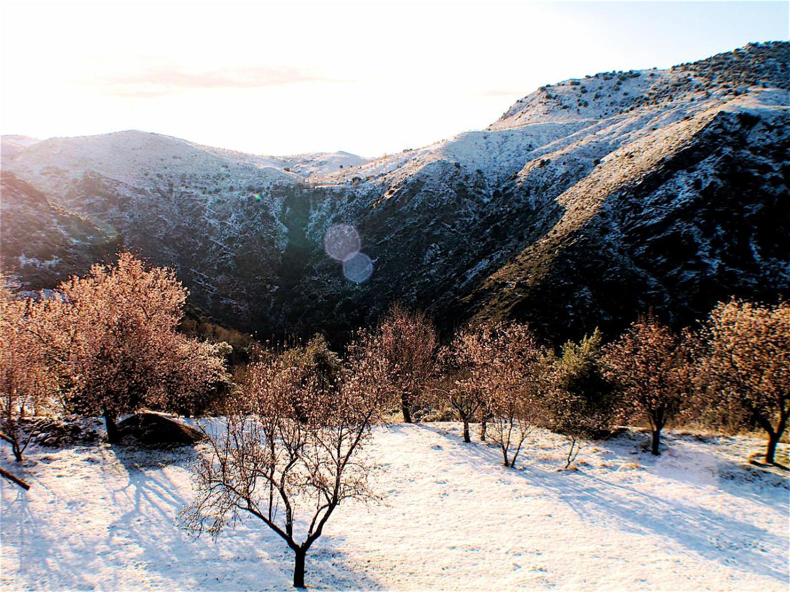 Rural House, Heated Pool & Steam Room, Casa Aloe. Atalbeitar Kültér fotó