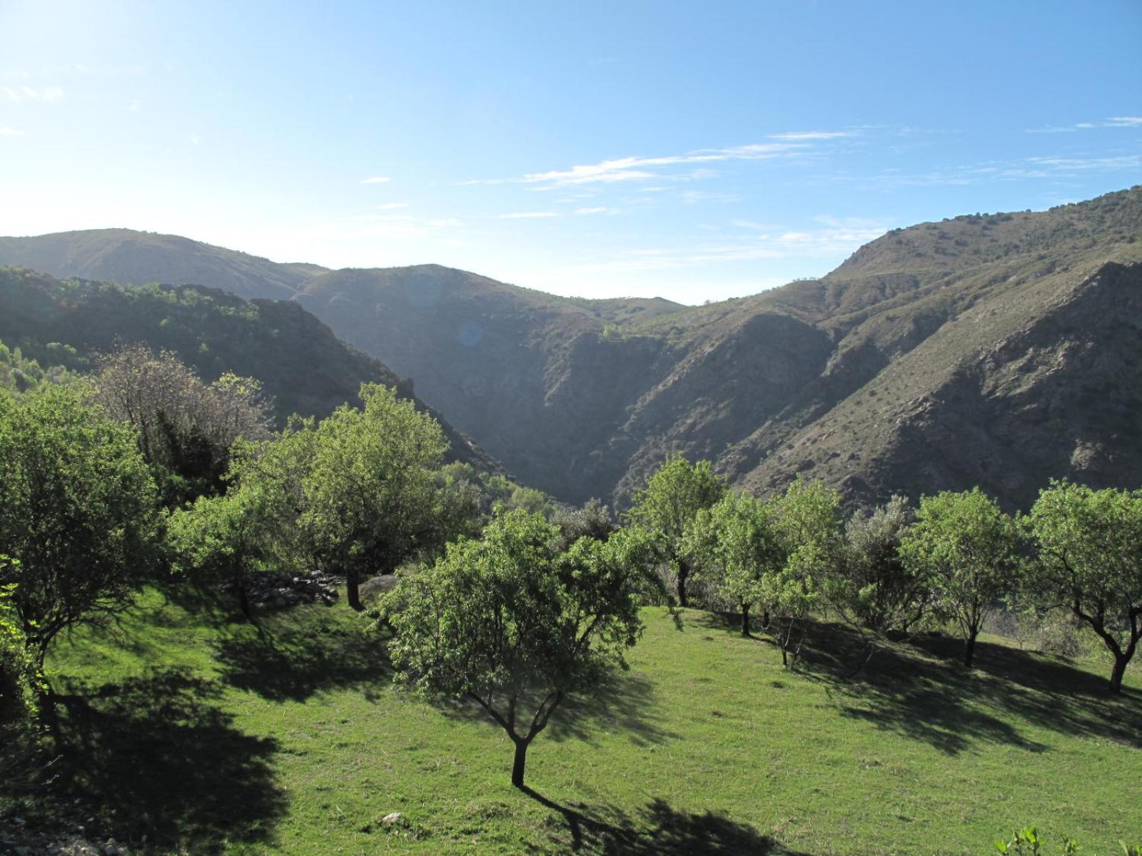 Rural House, Heated Pool & Steam Room, Casa Aloe. Atalbeitar Kültér fotó