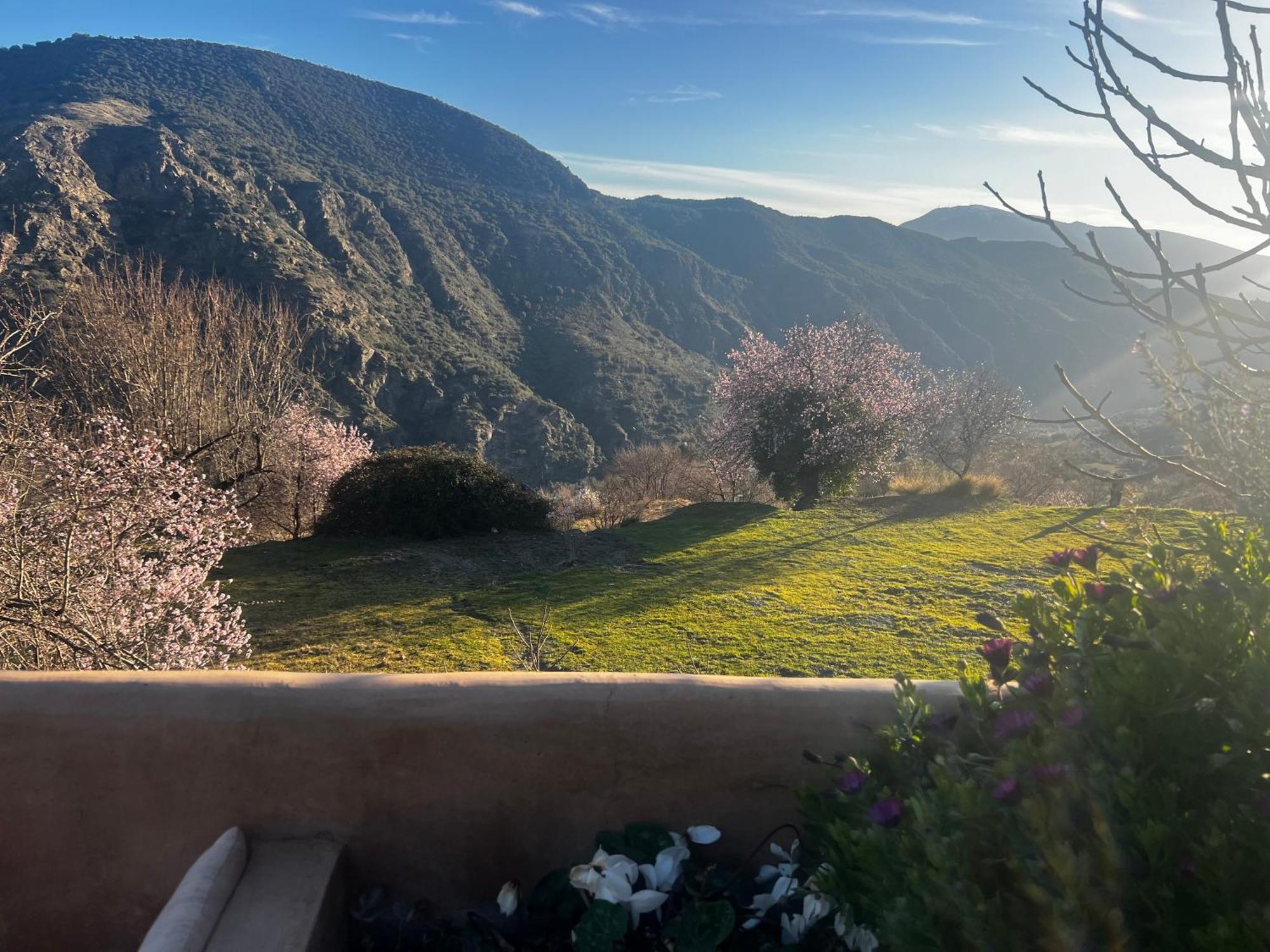 Rural House, Heated Pool & Steam Room, Casa Aloe. Atalbeitar Kültér fotó